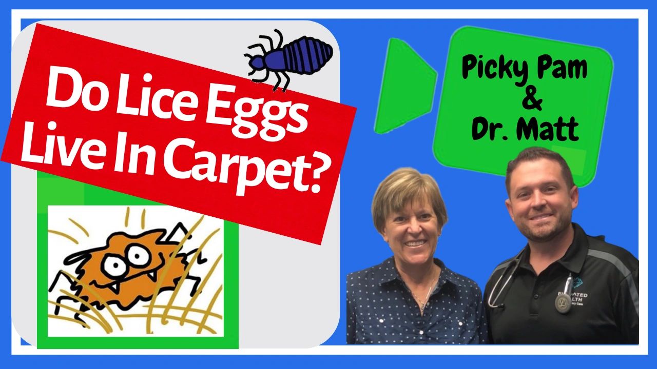 Lice Eggs In Live The CARPET?